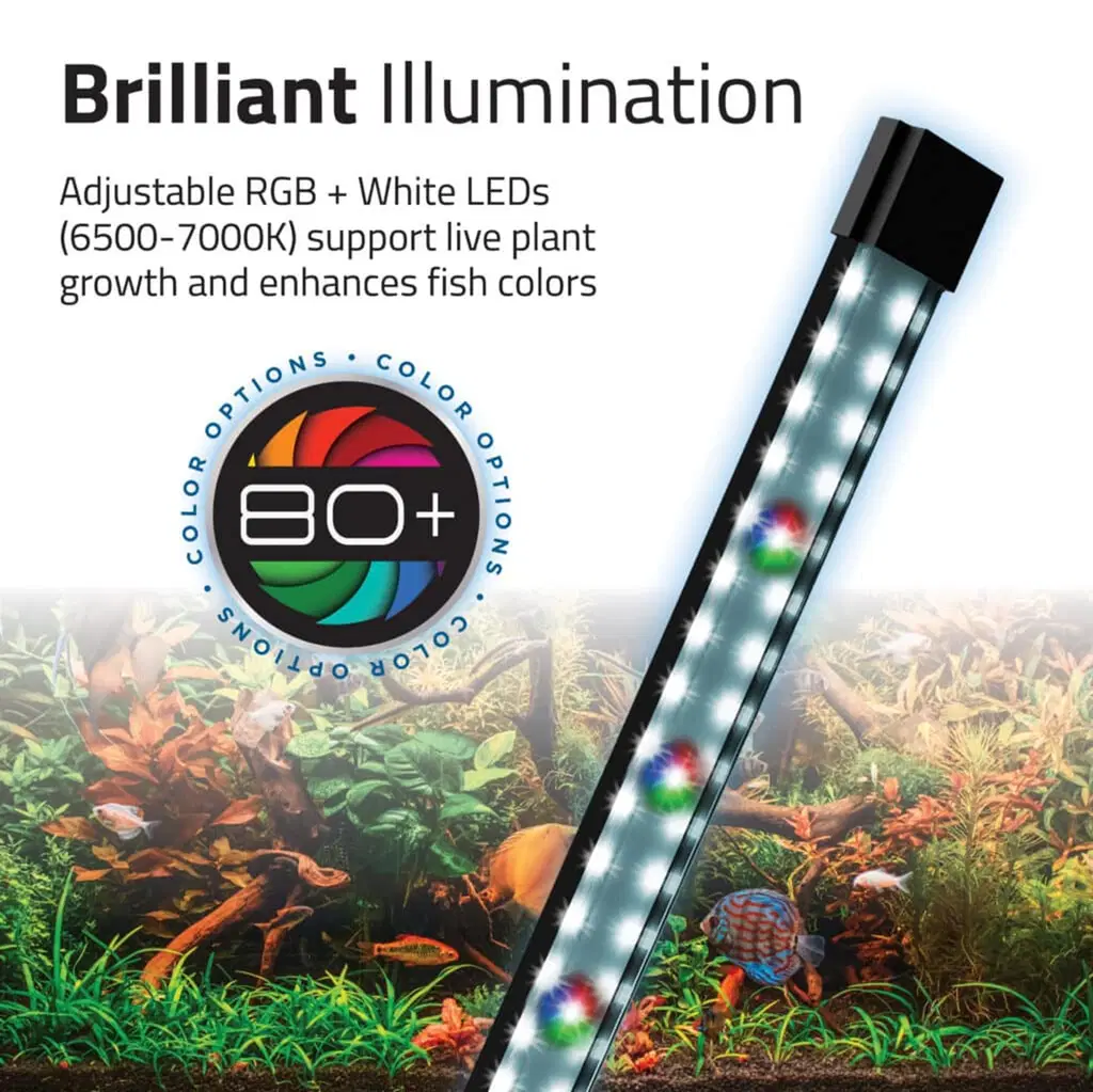 Fluval Flex LED akvarium version 2.0 34 L Sort